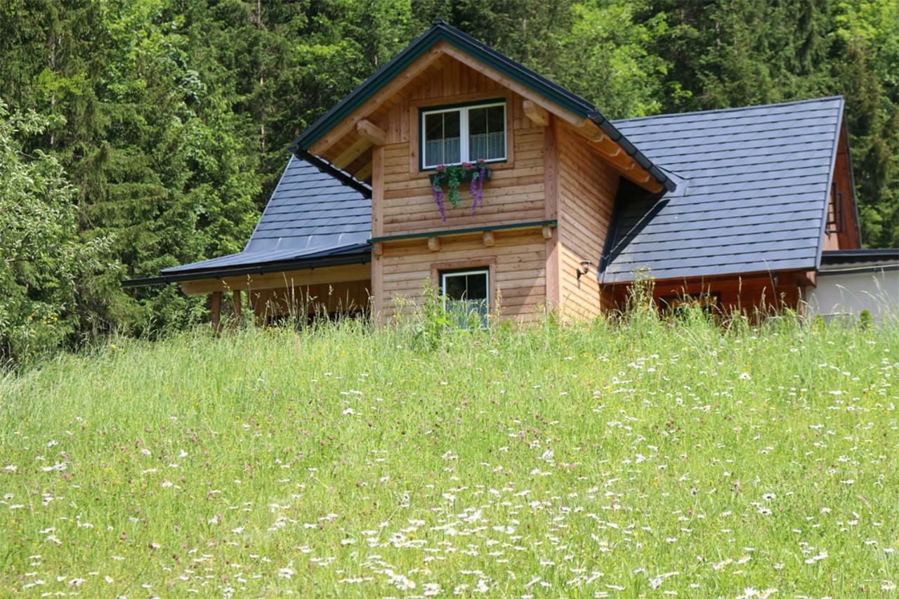 Forstauer'S Teichalm Villa Gams bei Hieflau Dış mekan fotoğraf